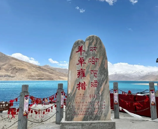 D8图.jpg
